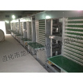 Hot Sale a Type Layer Poultry Battery Cages for Algeria Chicken Farm